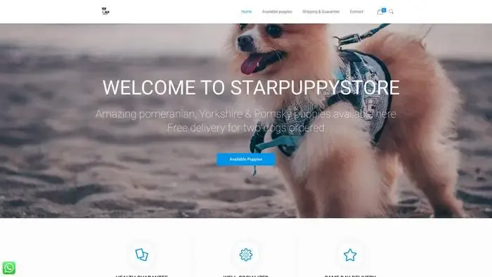 Screenshot of