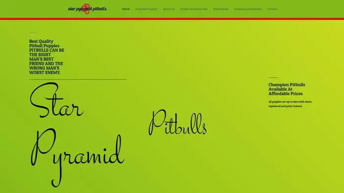 Screenshot of