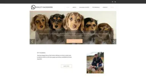 Screenshot of
