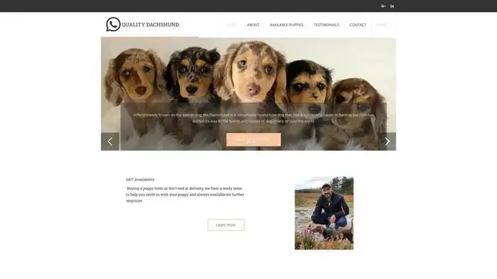 Screenshot of
