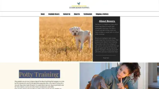 Screenshot of
