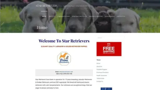 Screenshot of