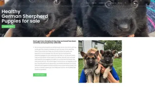Screenshot of