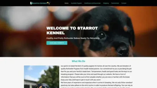 Screenshot of