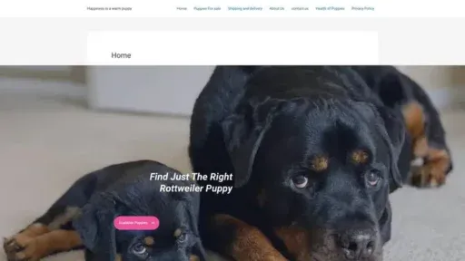 Screenshot of