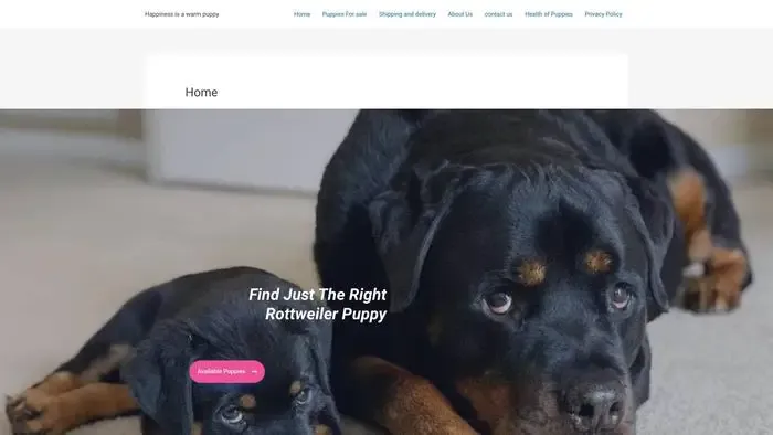 Screenshot of