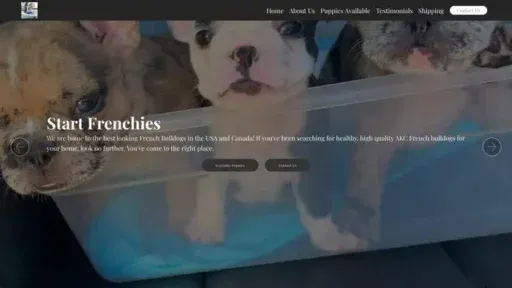 Screenshot of