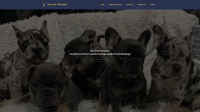 Screenshot of