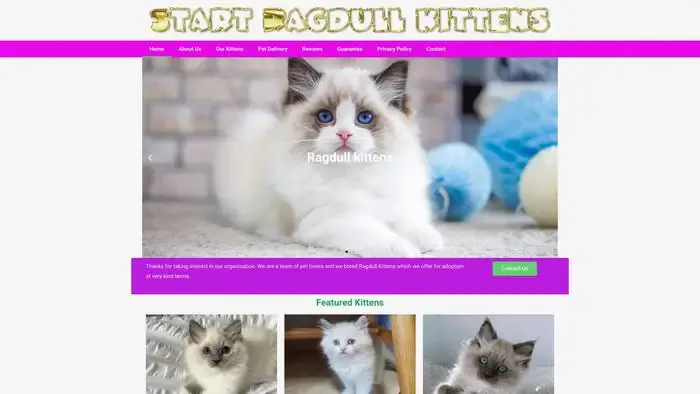Screenshot of