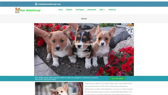 Screenshot of