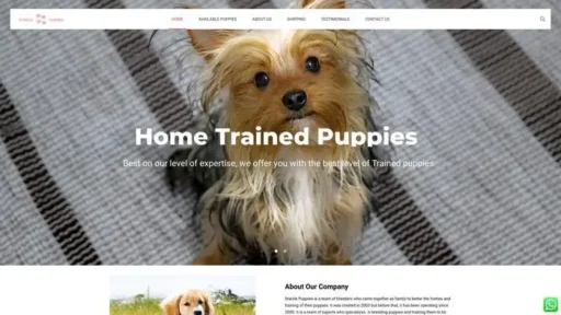 Screenshot of
