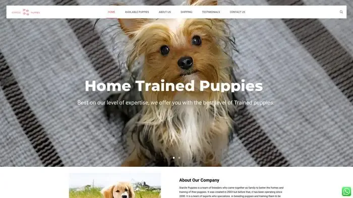 Screenshot of