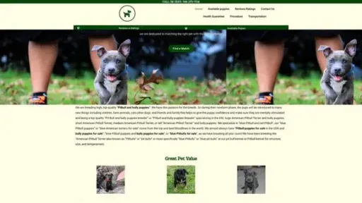 Screenshot of