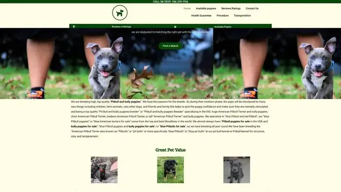 Screenshot of