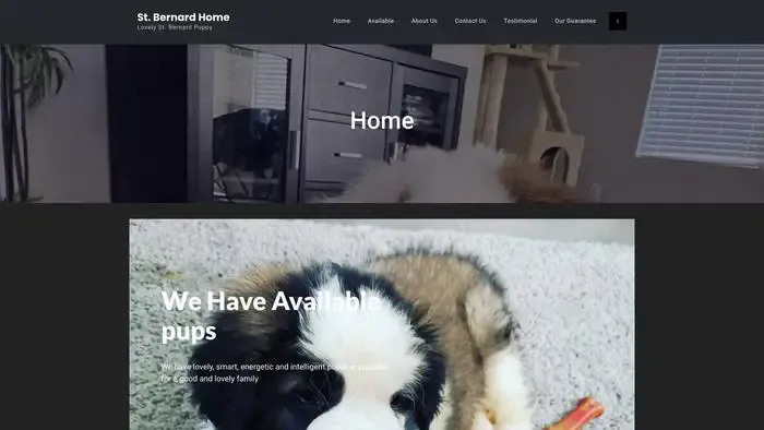 Stbernardpupshome