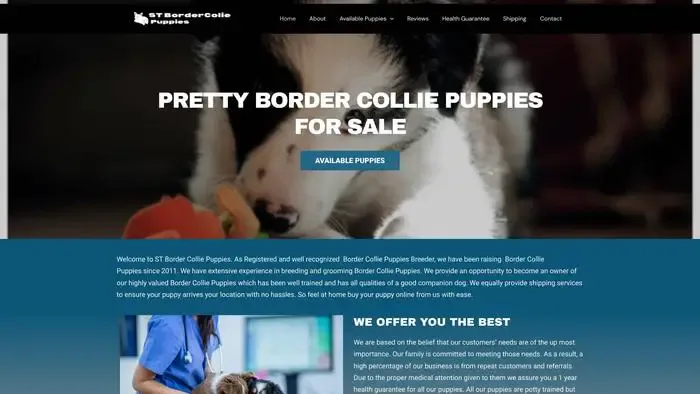 Screenshot of