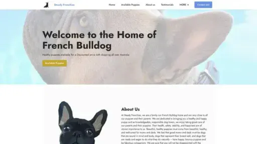 Screenshot of