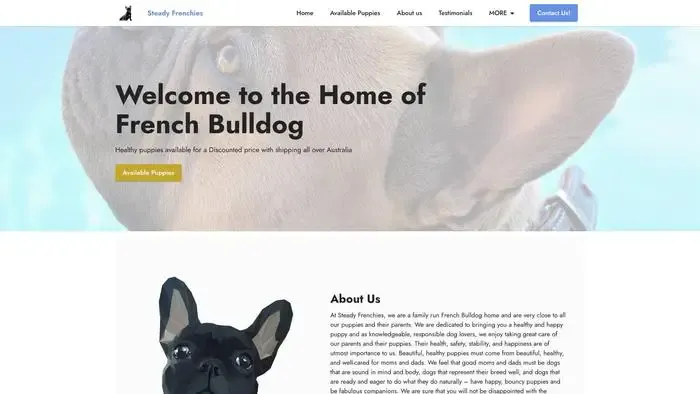 Screenshot of