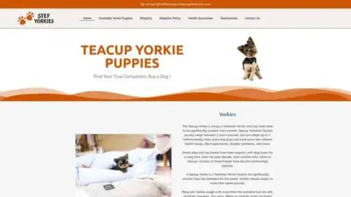 Screenshot of