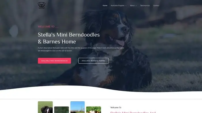 Screenshot of
