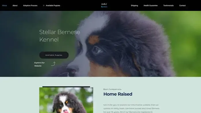 Screenshot of