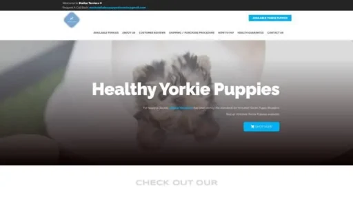 Screenshot of