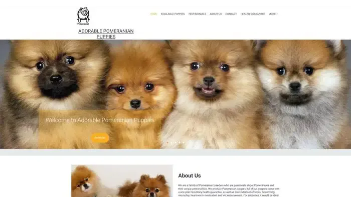 Screenshot of