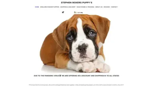 Screenshot of