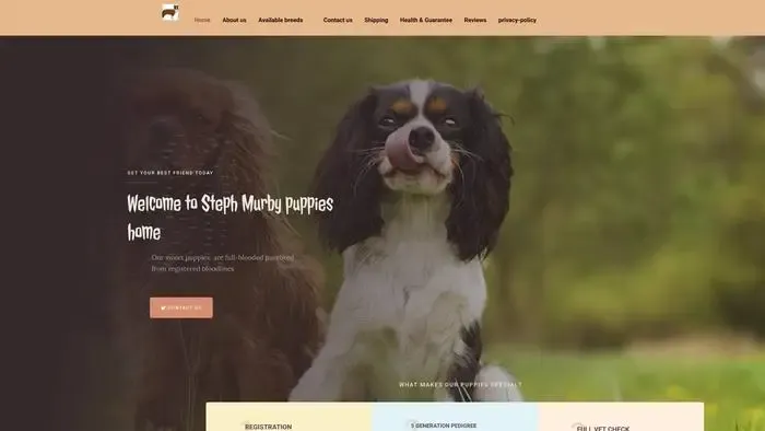 Screenshot of