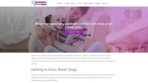 Screenshot of