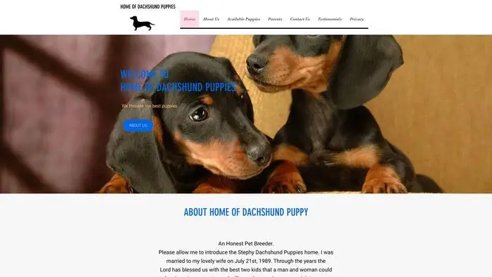 Screenshot of