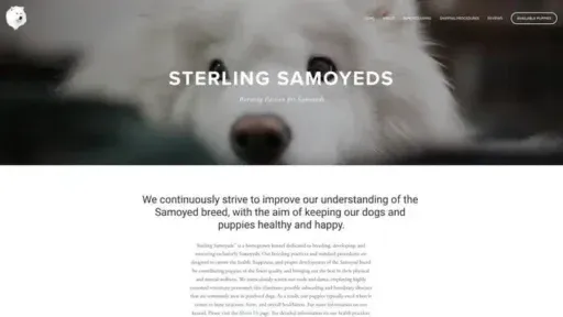 Screenshot of