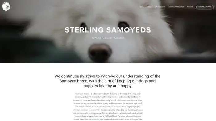 Screenshot of