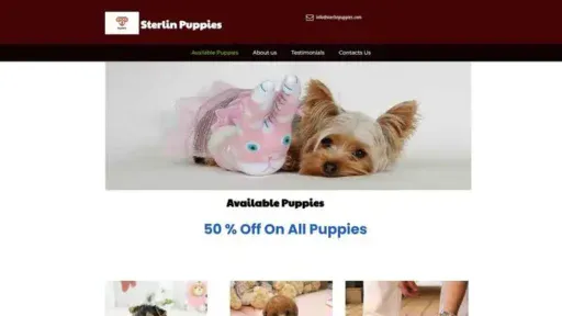 Screenshot of