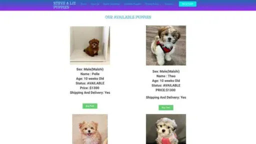Screenshot of
