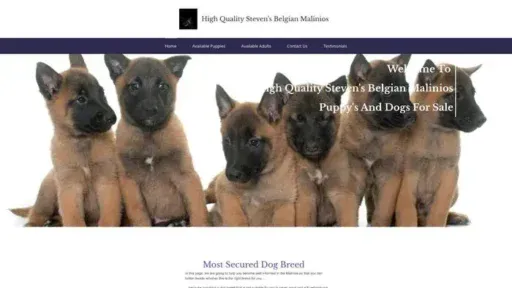 Screenshot of