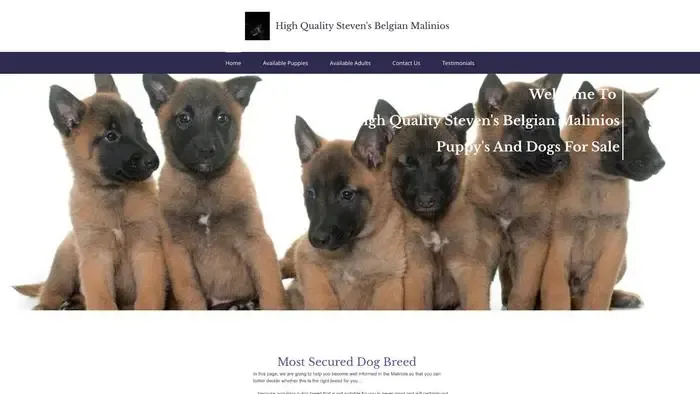 Screenshot of