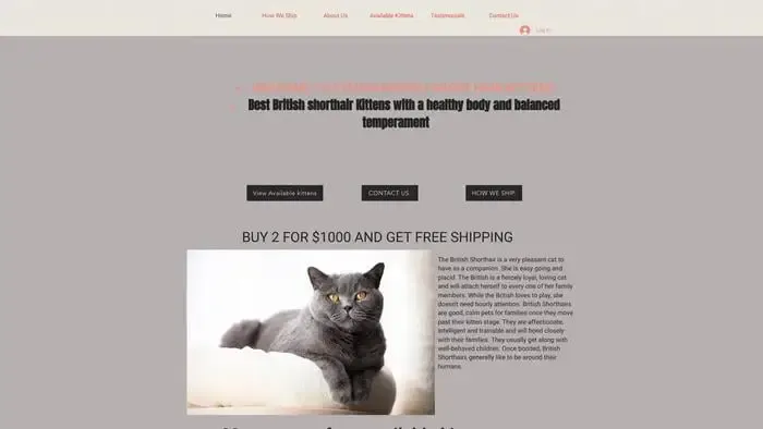 Screenshot of|