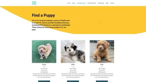 Screenshot of