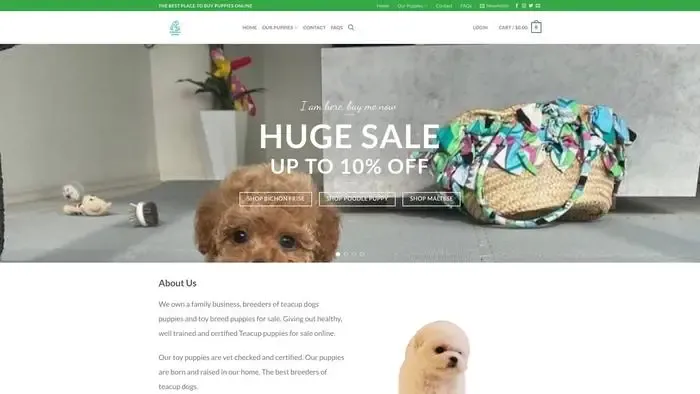Screenshot of