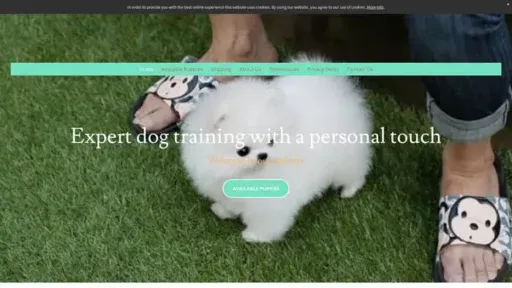 Screenshot of