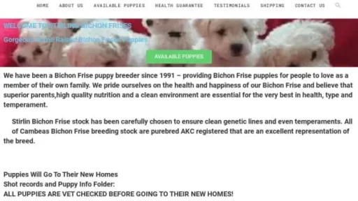 Screenshot of