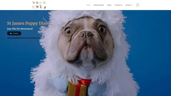 Screenshot of