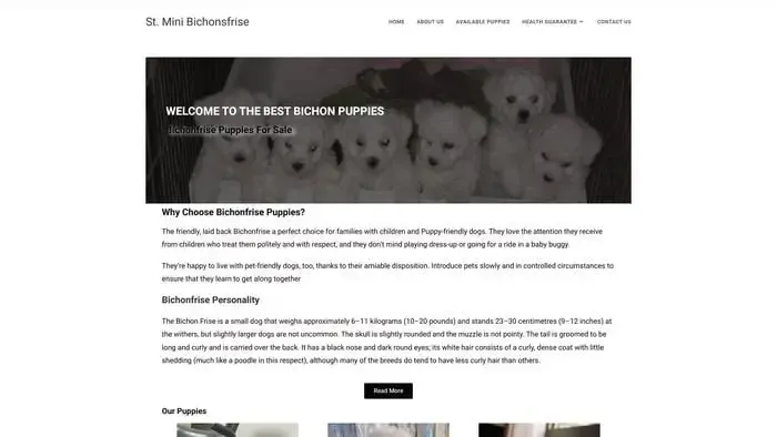 Screenshot of