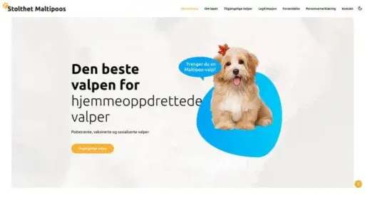 Screenshot of