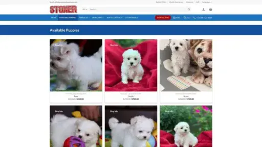 Screenshot of