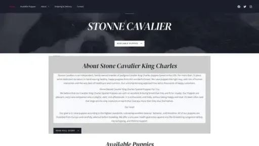 Screenshot of