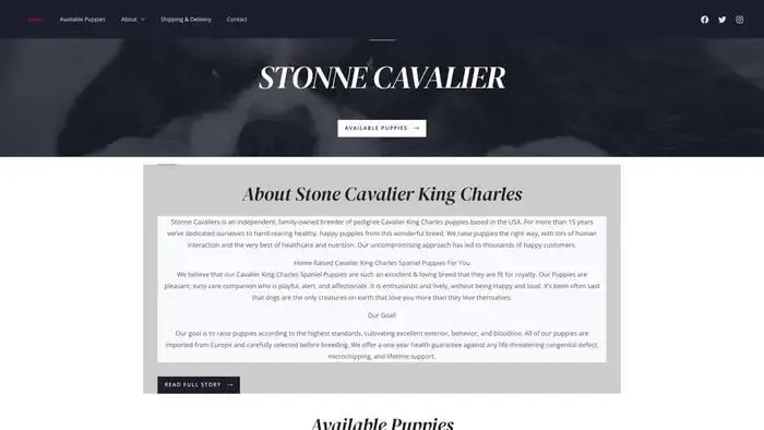 Screenshot of