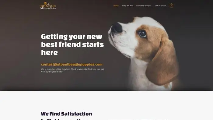 Screenshot of