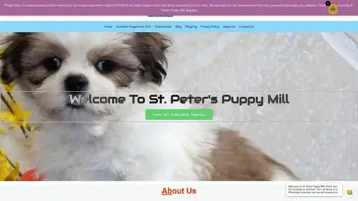 Screenshot of